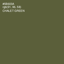 #5B603A - Chalet Green Color Image